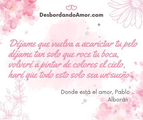 Déjame que vuelva a acariciar tu pelo
déjame tan solo que roce tu boca,
volveré a pintar de colores el cielo,
haré que todo esto solo sea un sueño .