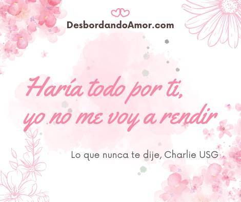 Haría todo por ti,
yo no me voy a rendir